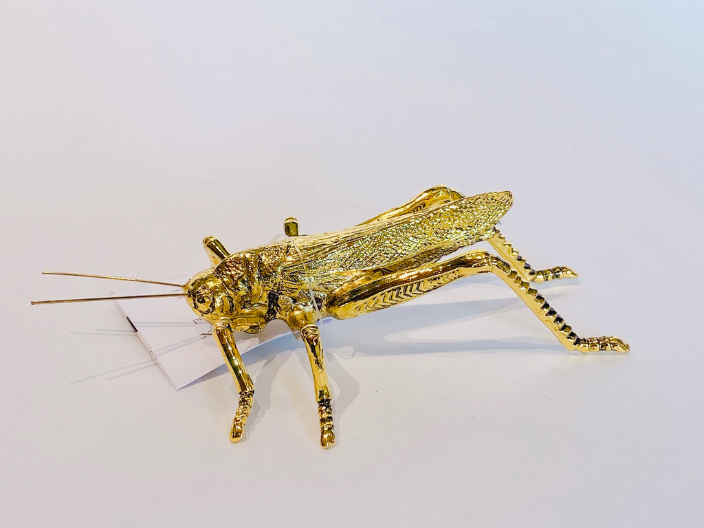 Gold Insect